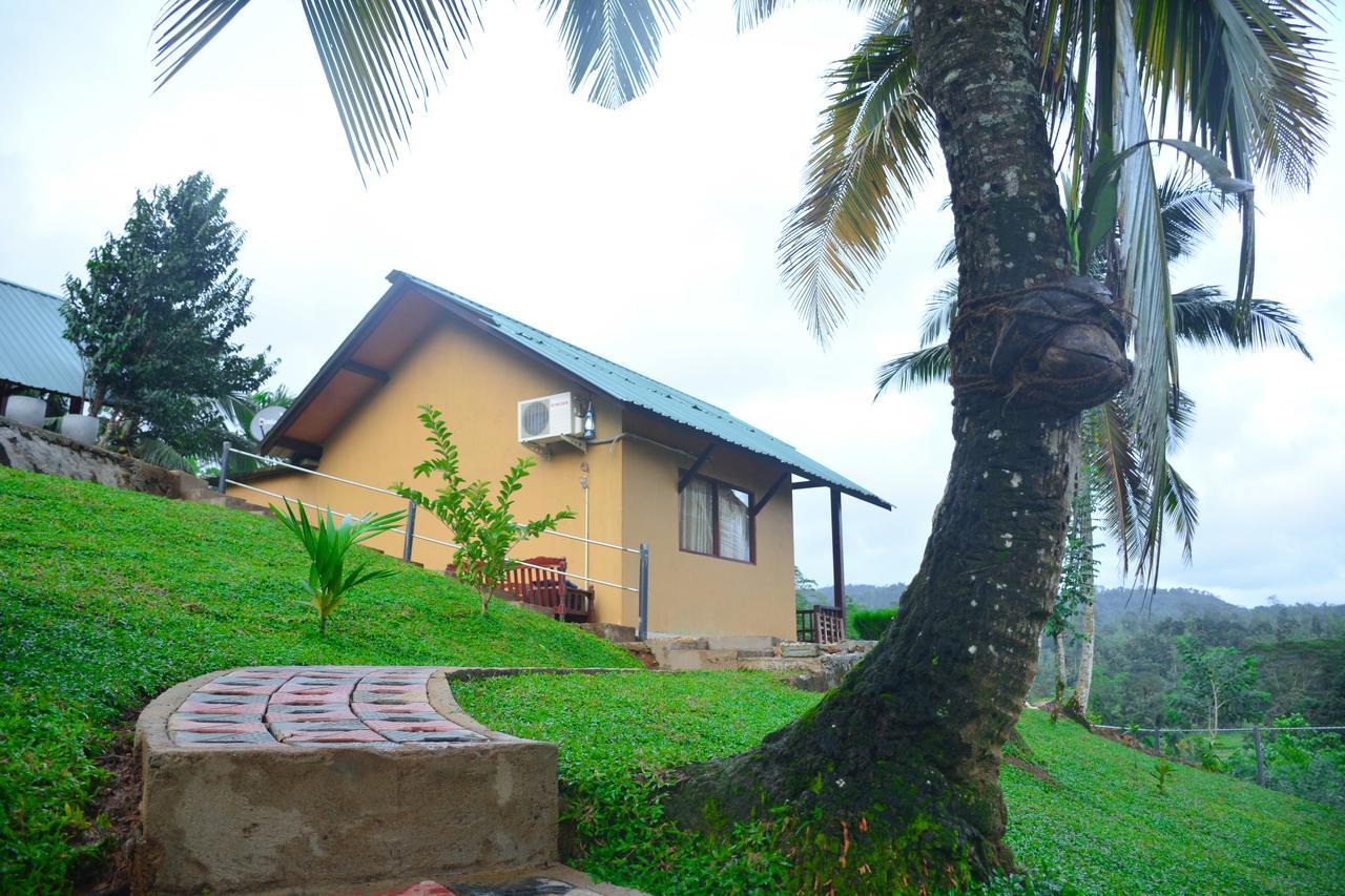 Rainforest Mount Lodge Deniyaya Exterior photo