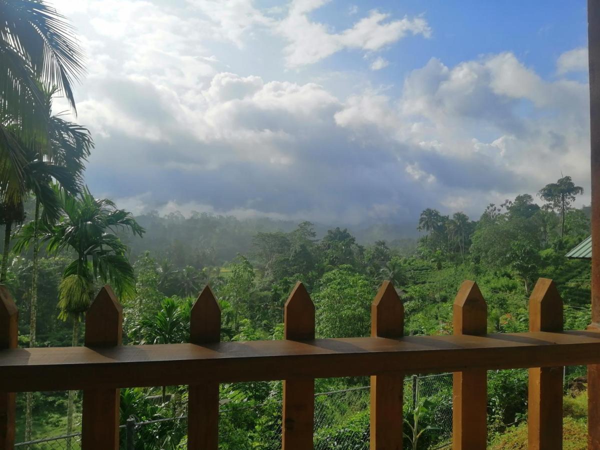 Rainforest Mount Lodge Deniyaya Exterior photo